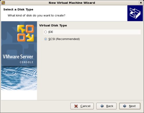 New Virtual Machine Wizard Disk Type