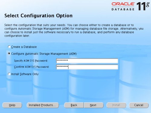 Database Configuration Option