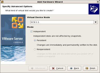 Virtual Machine Settings Disk Advanced
