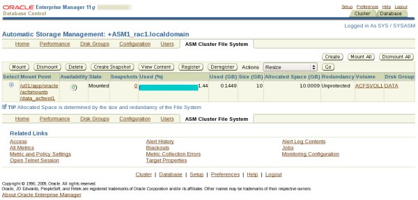 OEM: ASM Cluster File Systems