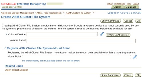 OEM: Create ASM Cluster File Systems