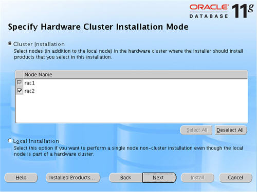Database Cluster Installation