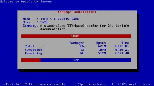 OVM Server: Installation