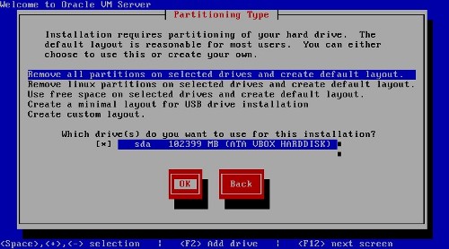 OVM Server: Partitioning Type